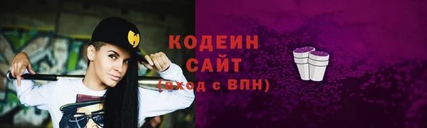 гашик Пестово