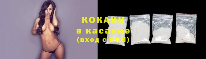 гашик Пестово